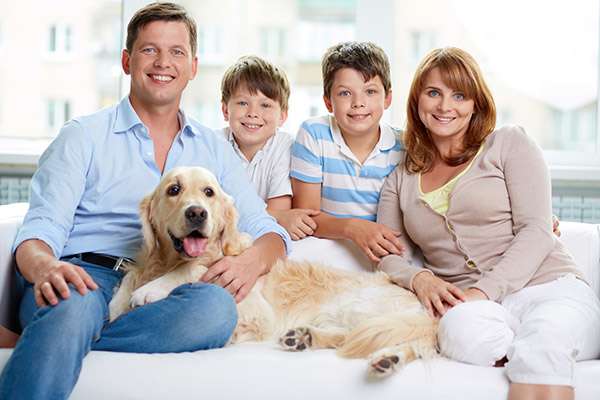 Why Choose One Family Dentist for Everyone in Your Family from Elite Dental & Aesthetics in Plantation, FL